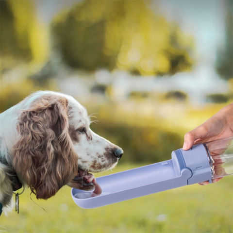 PupOasis Fold & Go Dog Water Bottle - Purple