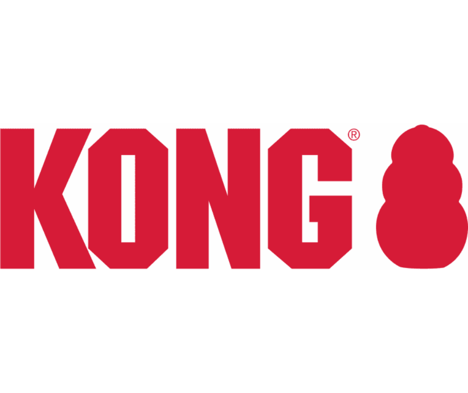 Kong Company