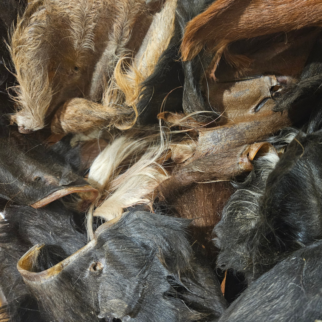 Beef Ears with Fur 10 Pack – Mel's Pet Shed