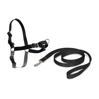 Easy Walk Harness Extra Large