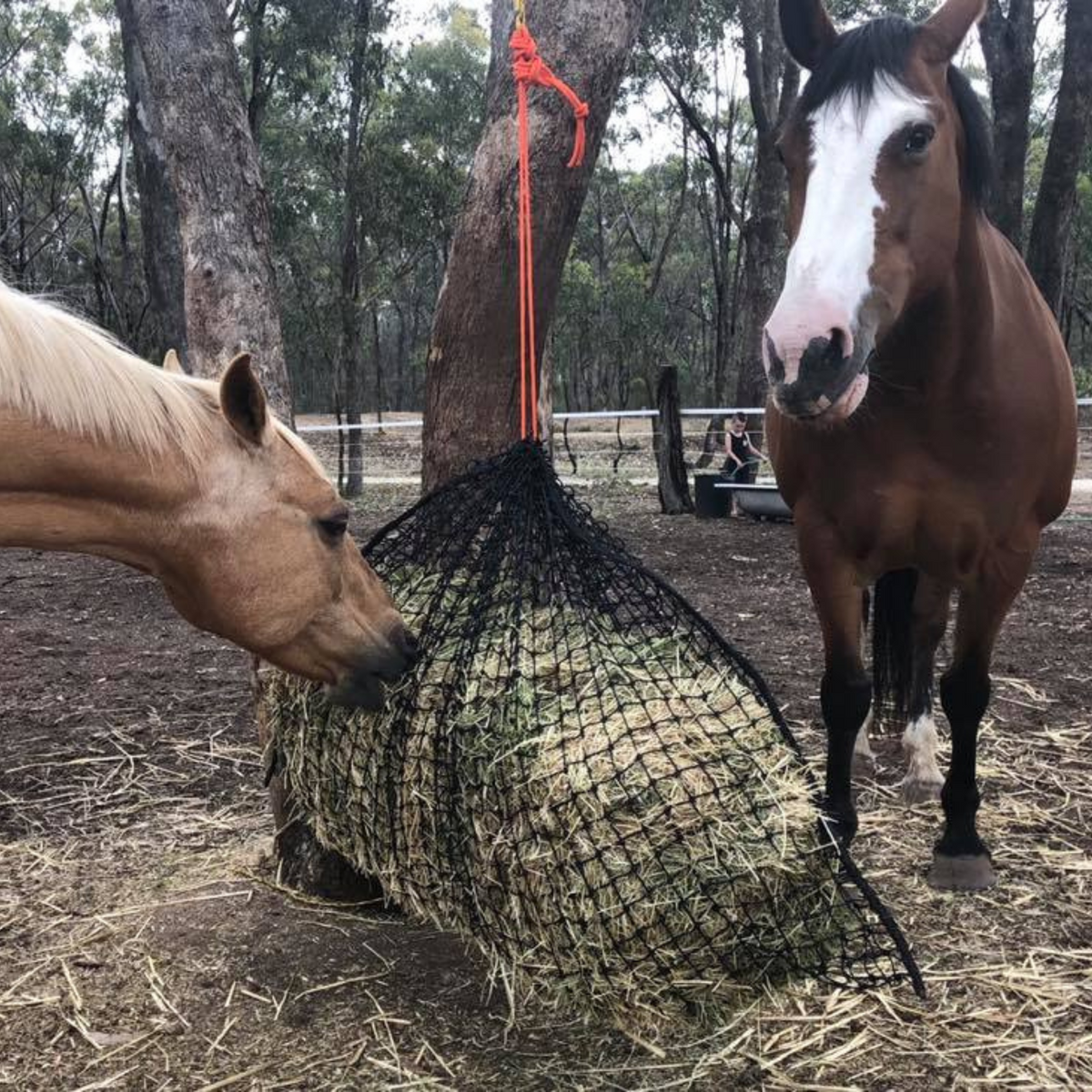 Original Knotted Hay Net - Large – Mel's Pet Shed