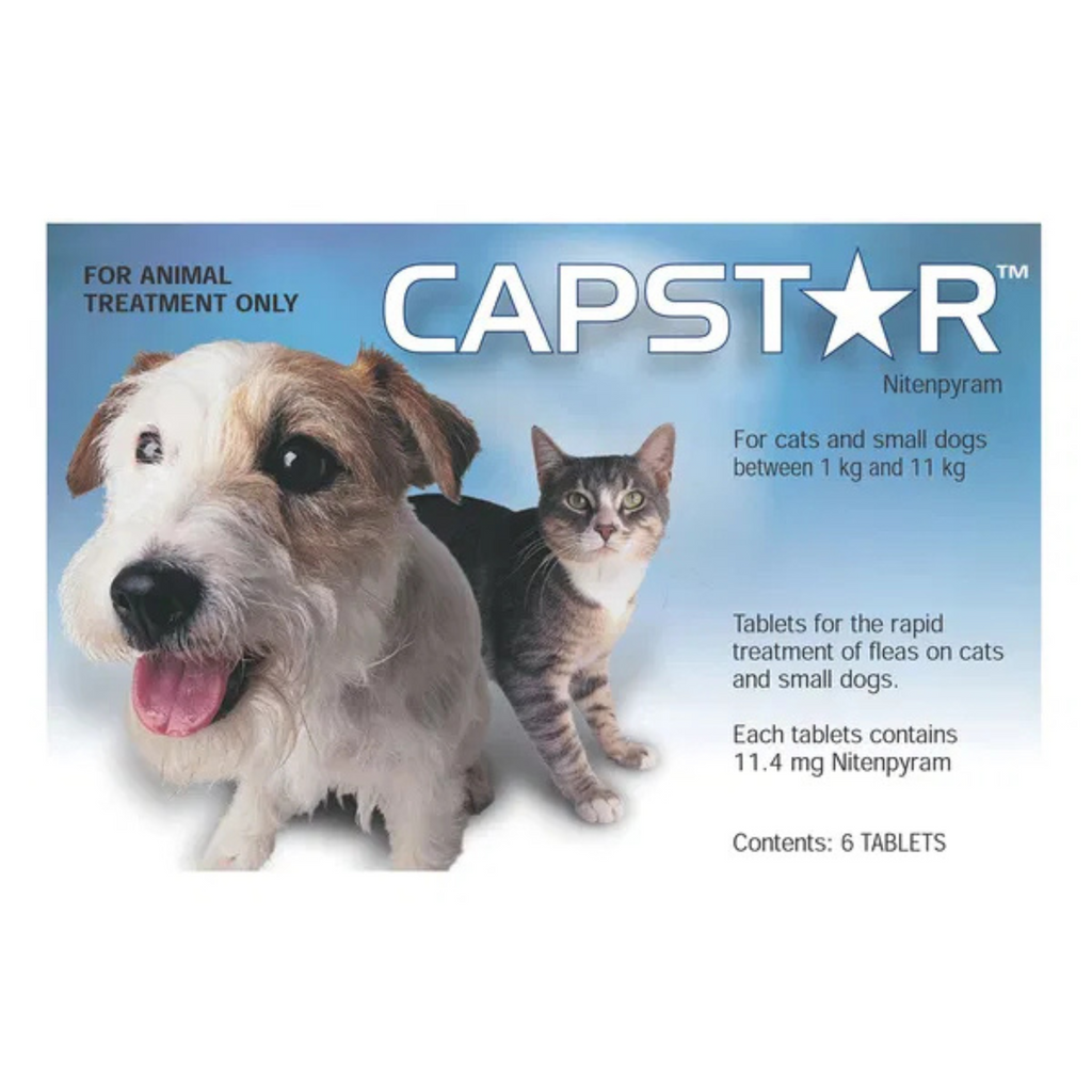 CAPSTAR packaging with a dog and cat on a blue background