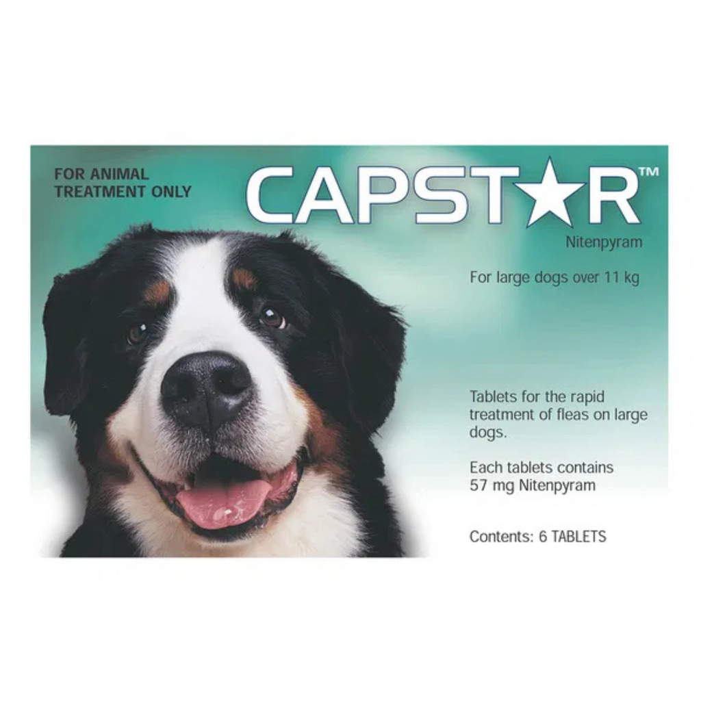 CAPSTAR treatment packaging for large dogs with a dog's face on it.
