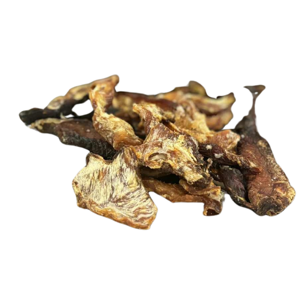 Dried crocodile meat on a white background