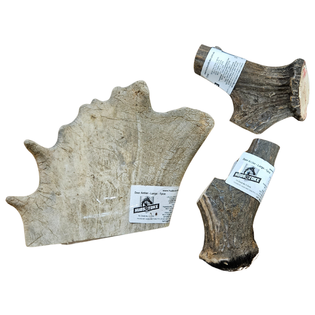 Three deer antlers with labels on a white background