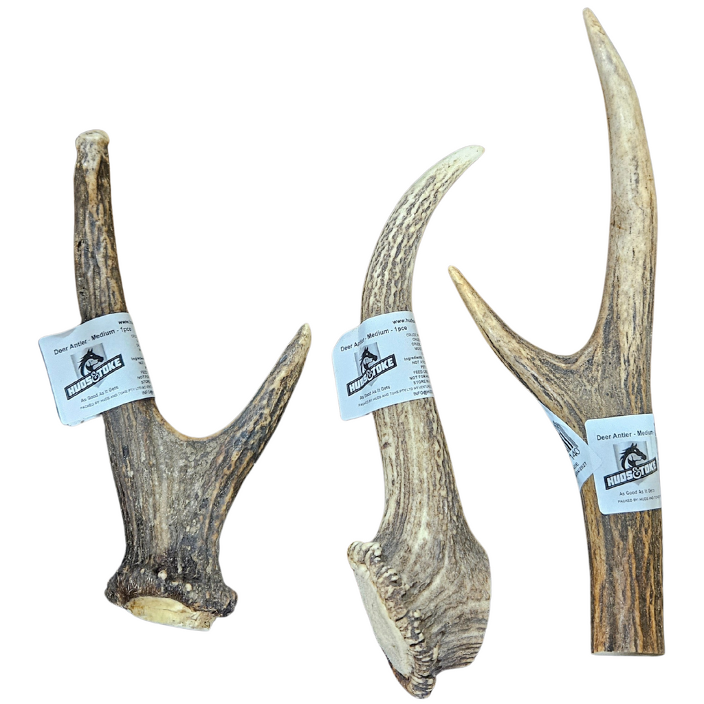 Three deer antlers with labels on a white background