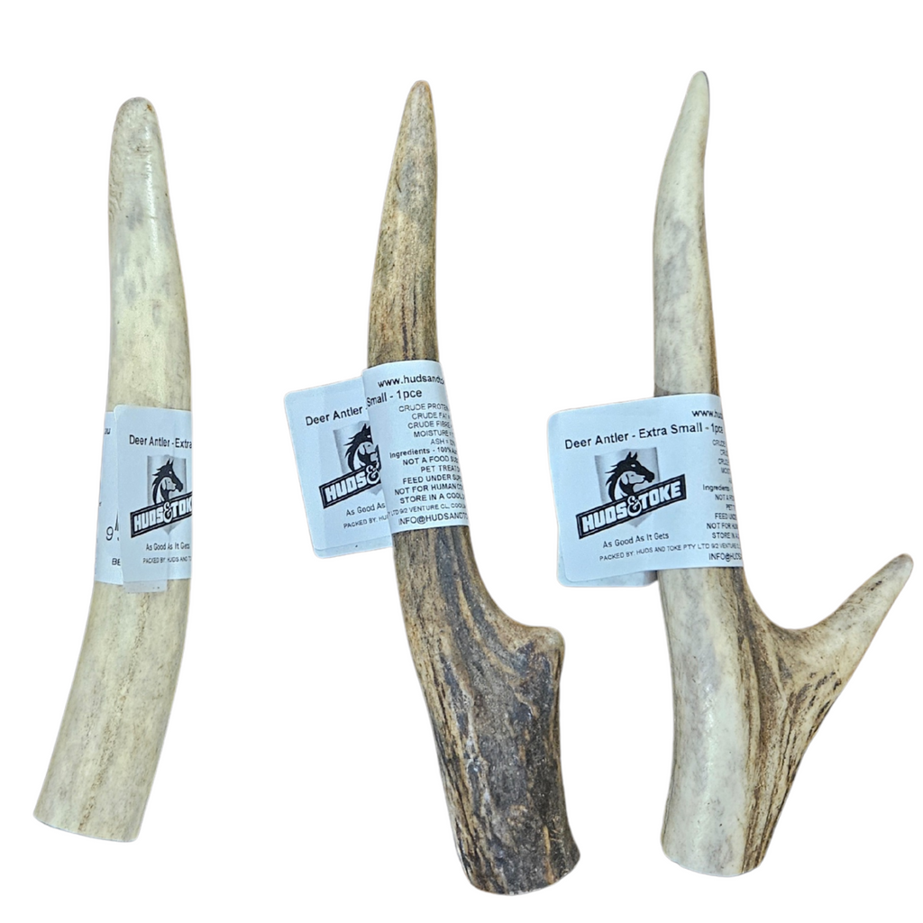 Three deer antlers with Huds and Toke labels on a white background