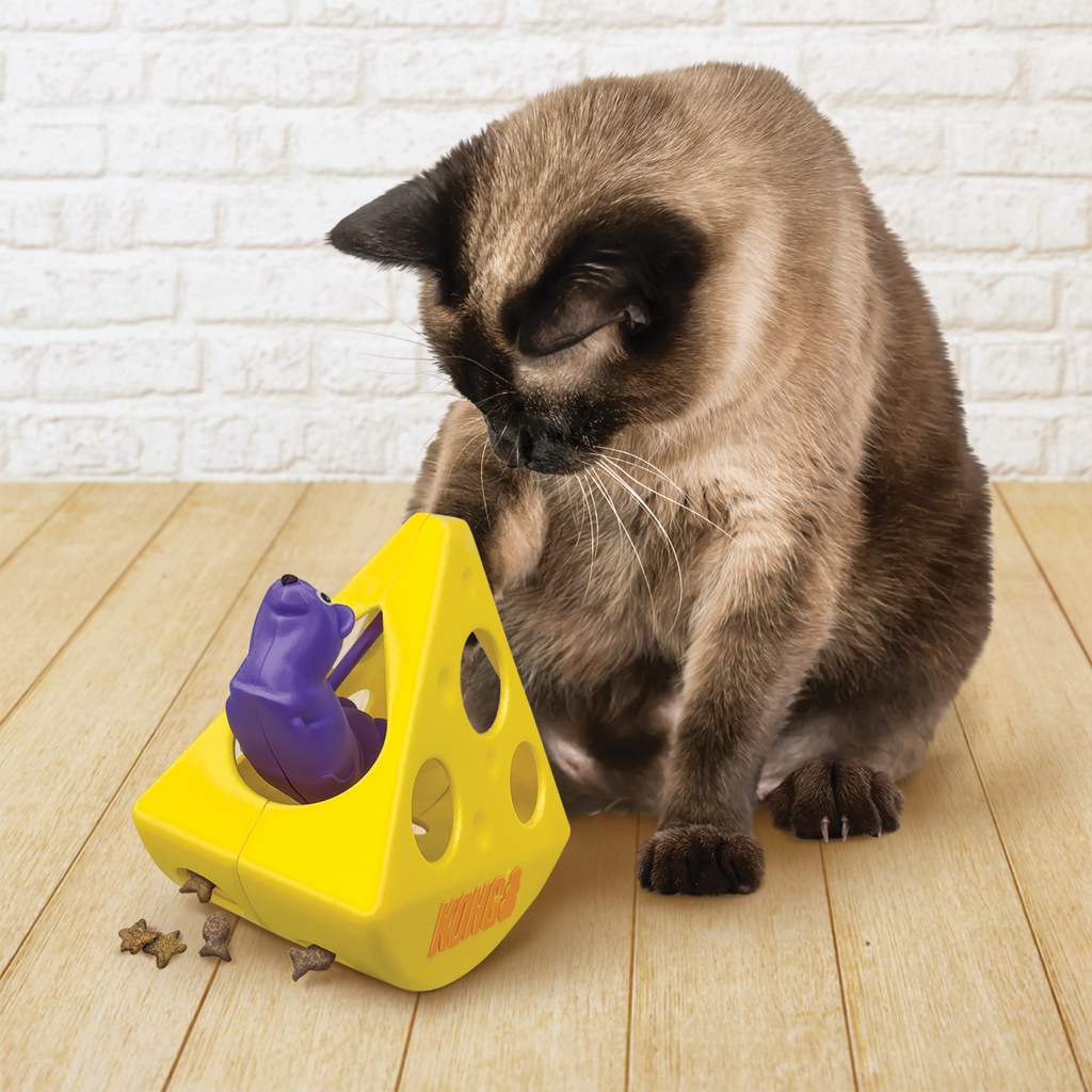 Cat playing with a yellow and purple puzzle toy on a wooden floor.