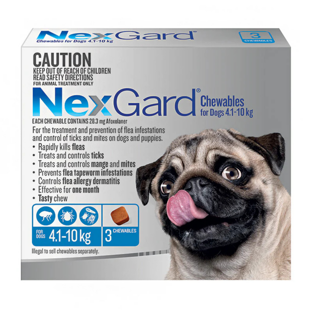 NexGard chewables packaging for dogs with a pug illustration on a white background