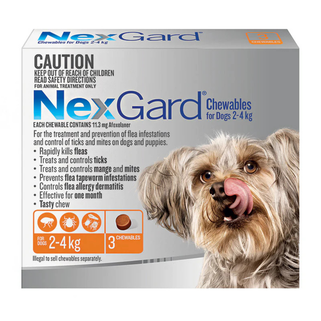 NexGard chewables packaging for dogs with a dog's face on the box.