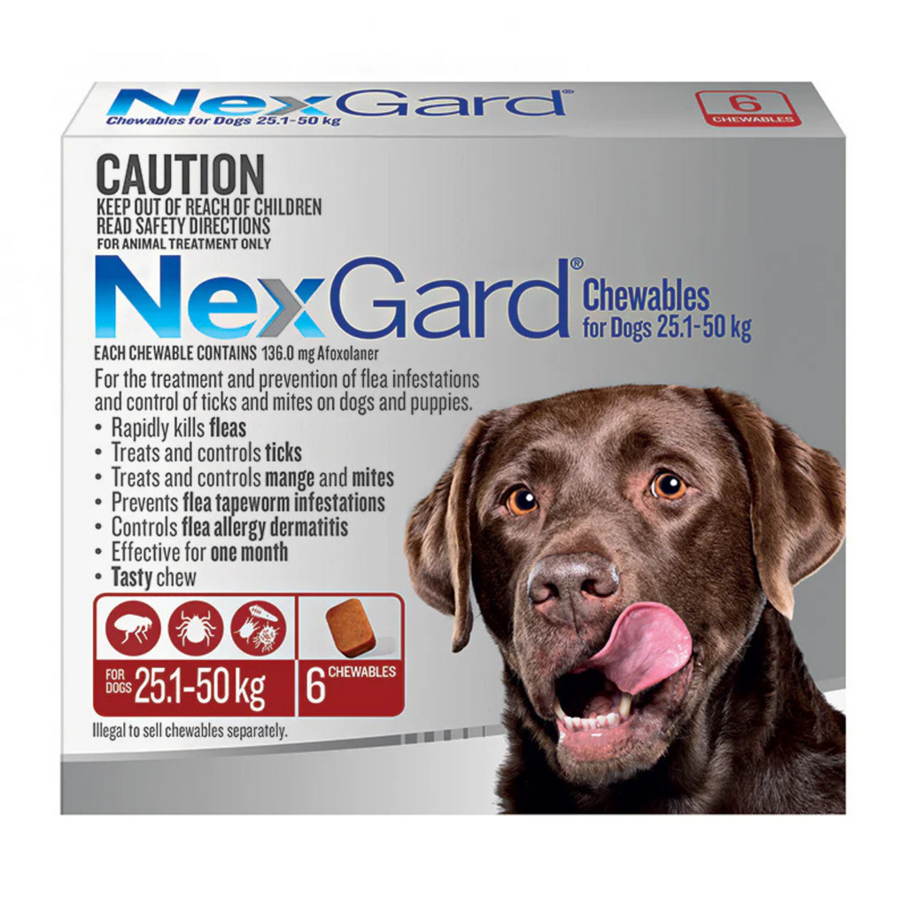 NexGard chewables packaging for dogs with a dog's face on the box.