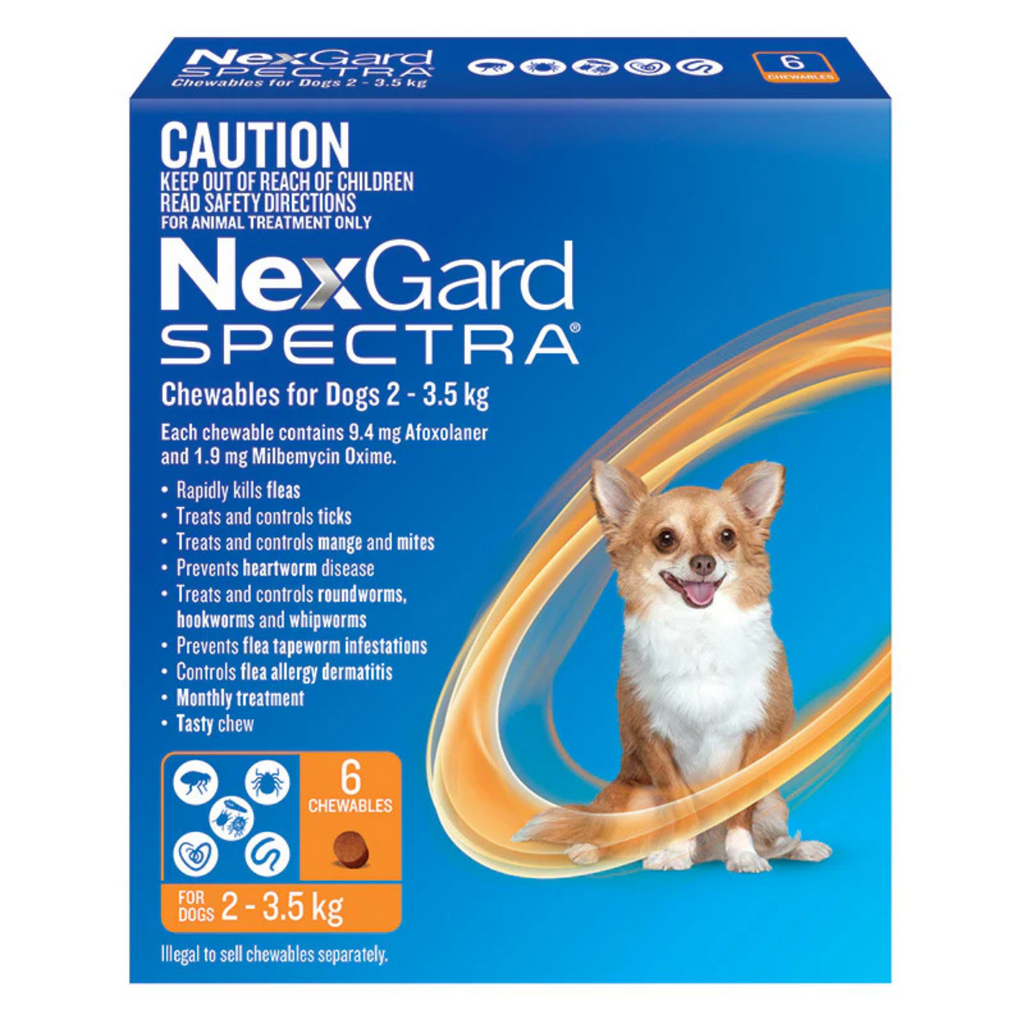 NexGard Spectra chewable packaging for dogs with a blue background