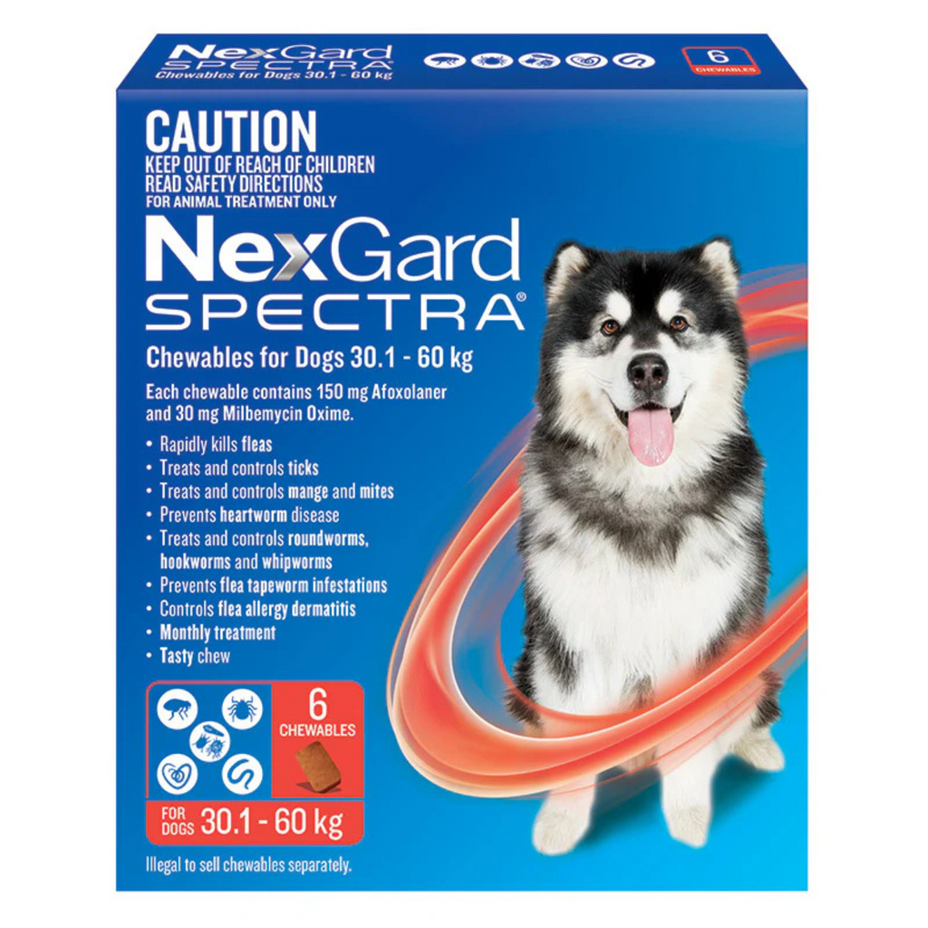 NexGard Spectra chewable package for dogs with a blue background and a dog illustration.