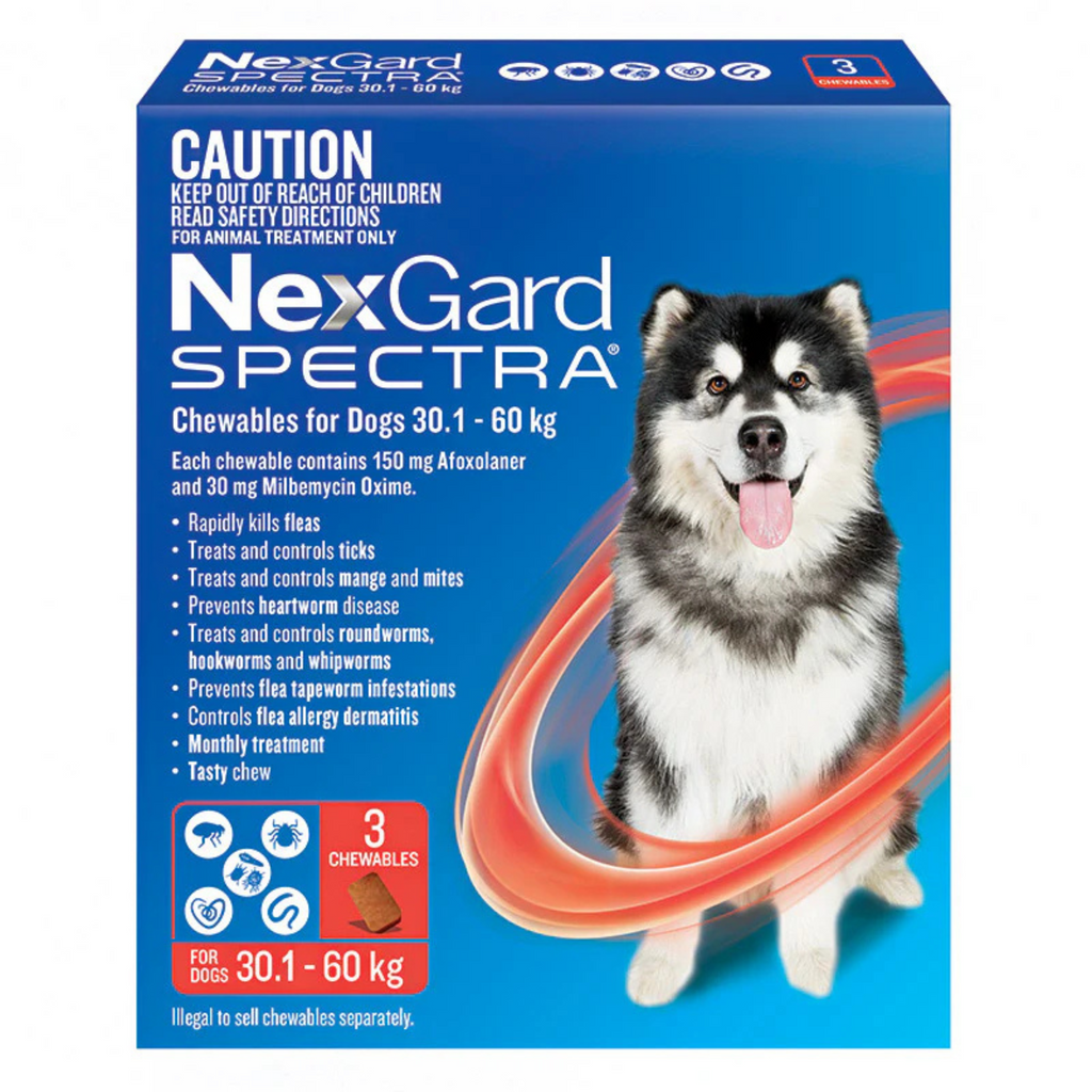 NexGard Spectra chewable packaging for dogs with a dog illustration on a blue background