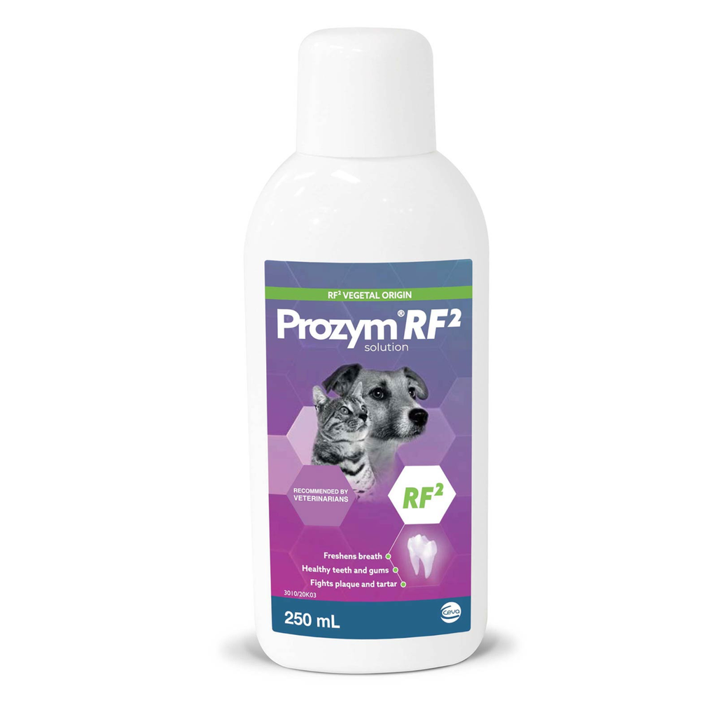 Prozym RF2 bottle for pets on a white background