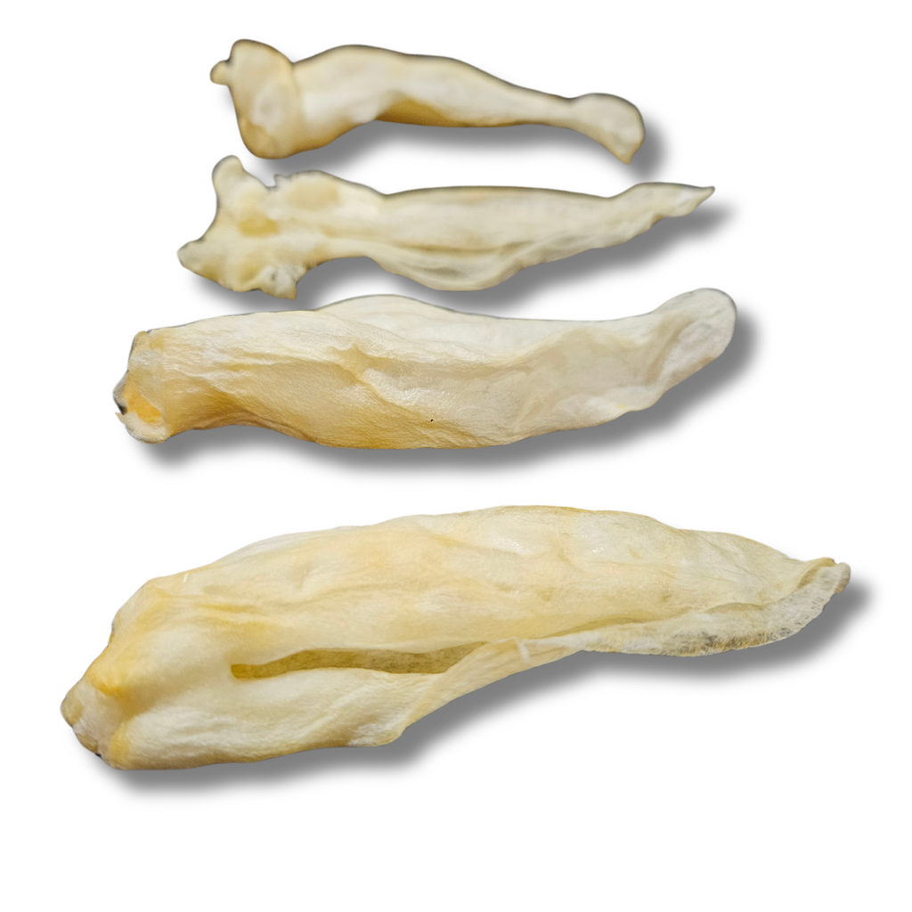 A collection of dried rabbit ears of various sizes laid out on a white background.