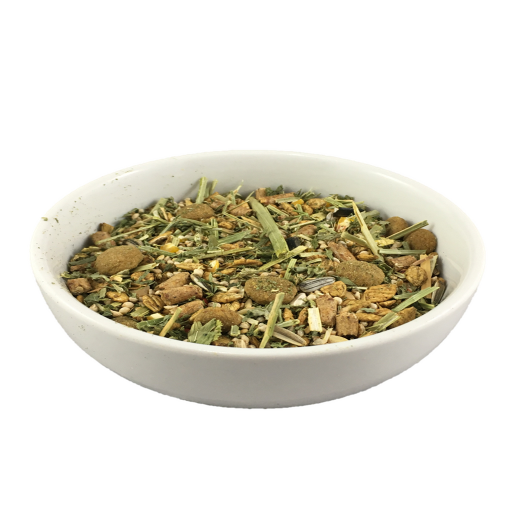 White bowl filled with a sample of rat & mouse correct menu on a white background