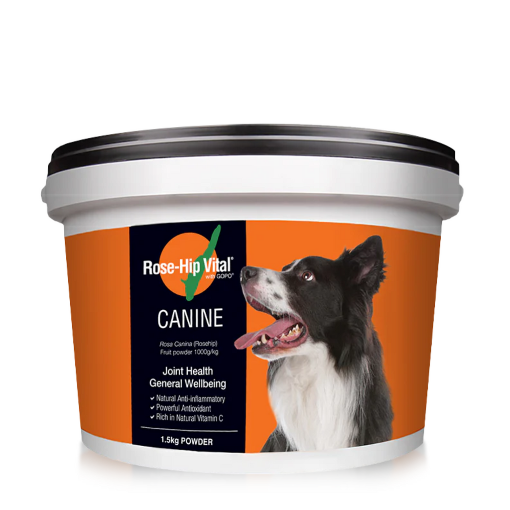 Rose-Hip Vital Canine supplement container with a dog on the label