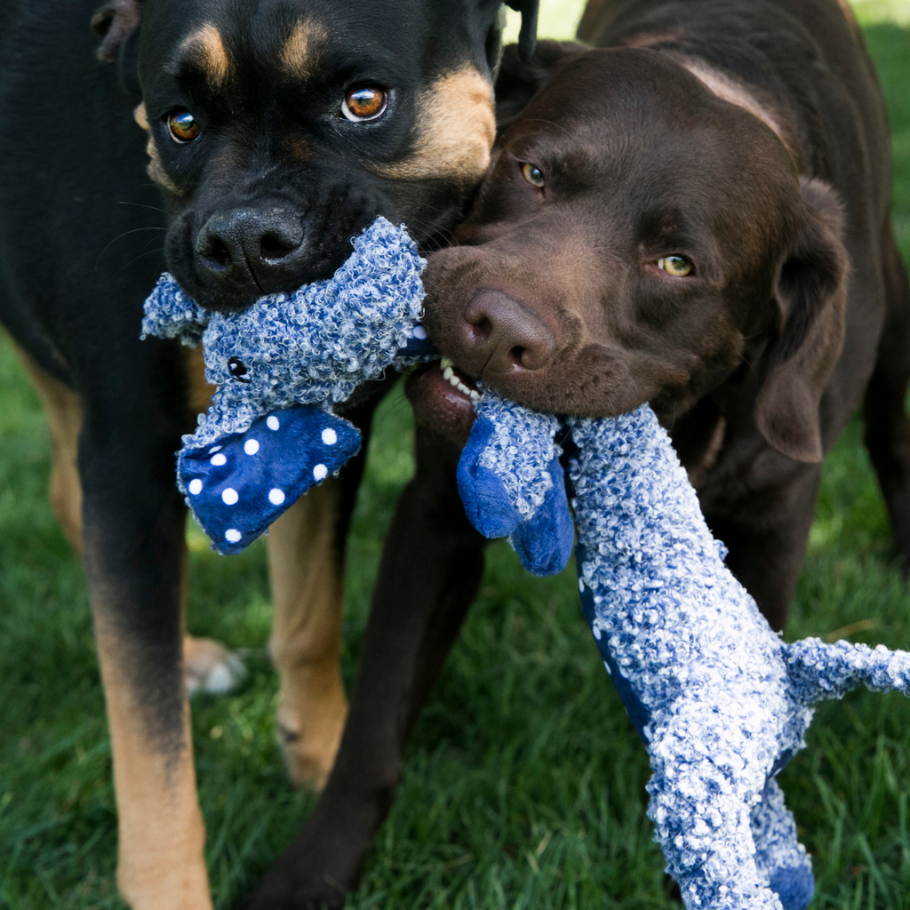 A plush dog toy resembling an elephant with a long trunk, made of a multicolor fabric, including blue and purple, with a squeaker inside. The toy is packaged on a red and white cardboard backing, with a picture of a dog and a person in the background.