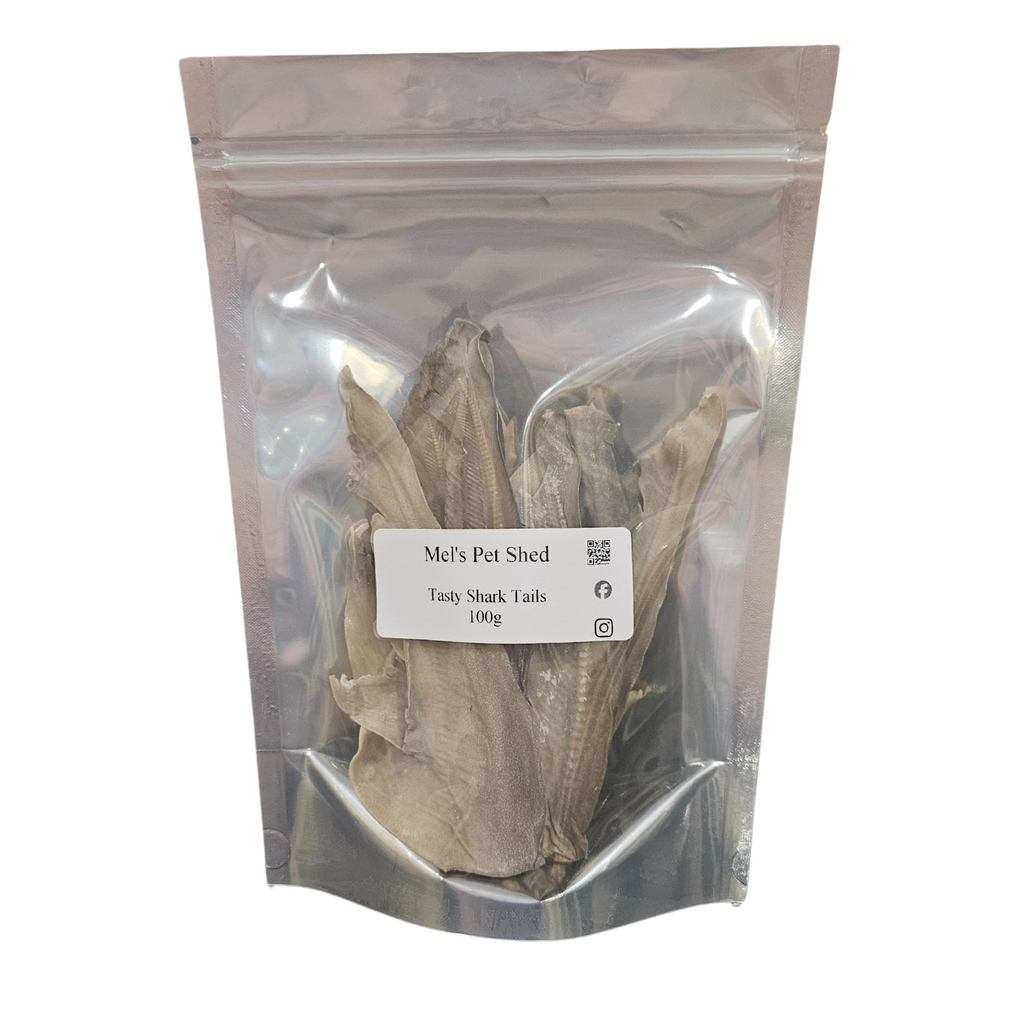 Shark tails in a silver bag