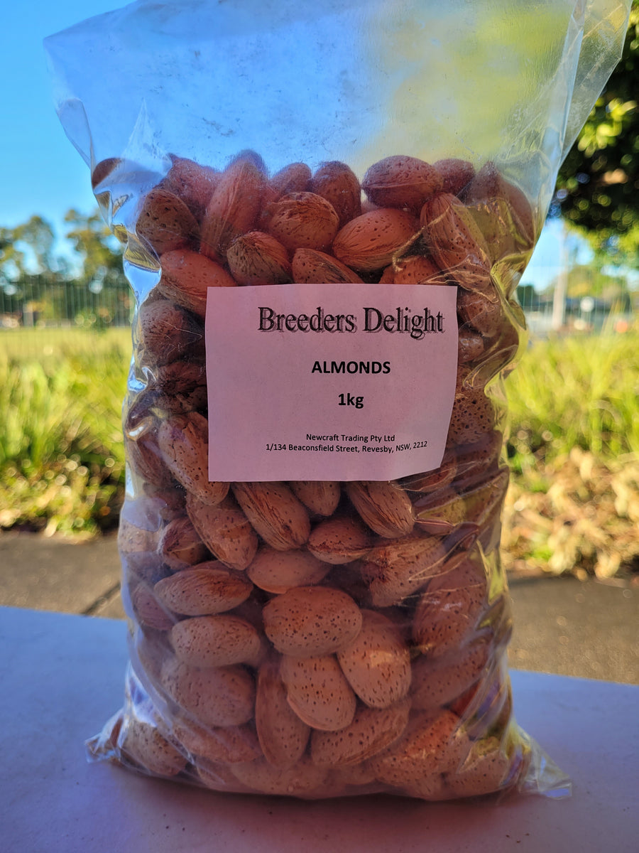 Whole Almonds in Shell 1kg – Mel's Pet Shed