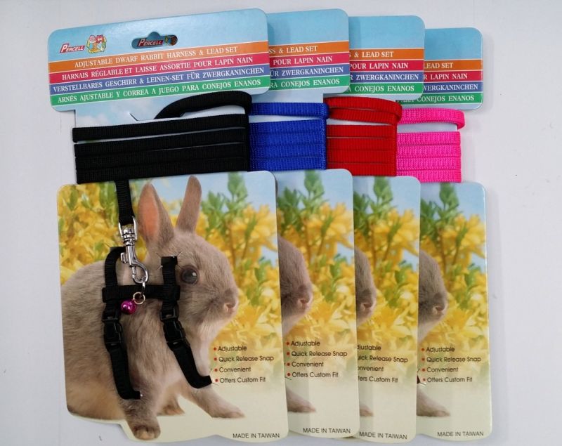 Rabbit Harness with Lead – Mel's Pet Shed
